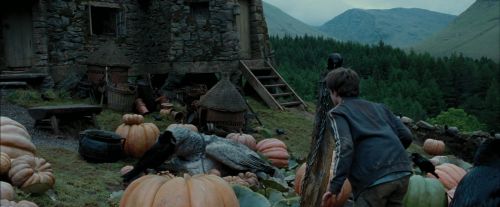 Click to view full size image
==============
PdA-Potterish_7187.jpg PdA-Potterish_7187.jpg