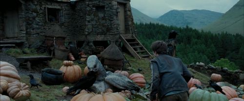 PdA-Potterish_7189.jpg
