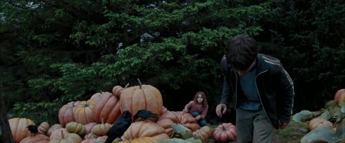 PdA-Potterish_7191.jpg