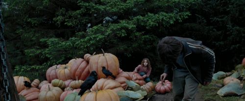Click to view full size image
==============
PdA-Potterish_7192.jpg PdA-Potterish_7192.jpg