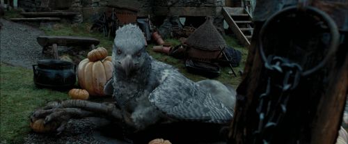 PdA-Potterish_7193.jpg