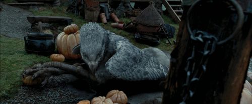 Click to view full size image
==============
PdA-Potterish_7194.jpg PdA-Potterish_7194.jpg