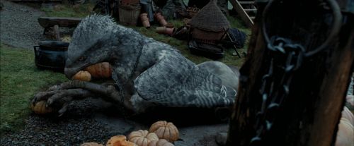 Click to view full size image
==============
PdA-Potterish_7196.jpg PdA-Potterish_7196.jpg
