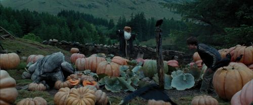Click to view full size image
==============
PdA-Potterish_7197.jpg PdA-Potterish_7197.jpg