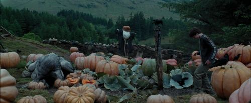 PdA-Potterish_7199.jpg