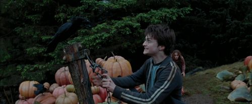 Click to view full size image
==============
PdA-Potterish_7203.jpg PdA-Potterish_7203.jpg