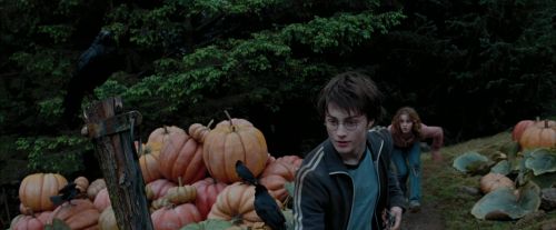 Click to view full size image
==============
PdA-Potterish_7206.jpg PdA-Potterish_7206.jpg