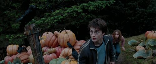 Click to view full size image
==============
PdA-Potterish_7207.jpg PdA-Potterish_7207.jpg