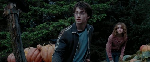 Click to view full size image
==============
PdA-Potterish_7215.jpg PdA-Potterish_7215.jpg