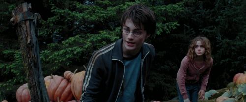 Click to view full size image
==============
PdA-Potterish_7217.jpg PdA-Potterish_7217.jpg