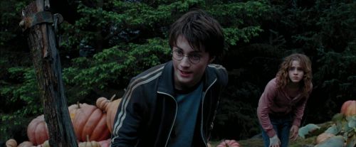 PdA-Potterish_7218.jpg