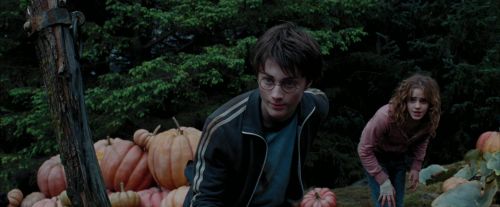 Click to view full size image
==============
PdA-Potterish_7219.jpg PdA-Potterish_7219.jpg