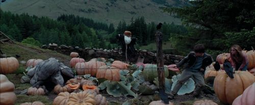 PdA-Potterish_7220.jpg