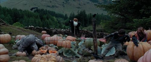 Click to view full size image
==============
PdA-Potterish_7221.jpg PdA-Potterish_7221.jpg