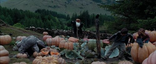 PdA-Potterish_7223.jpg