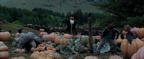Click to view full size image
==============
PdA-Potterish_7228.jpg PdA-Potterish_7228.jpg