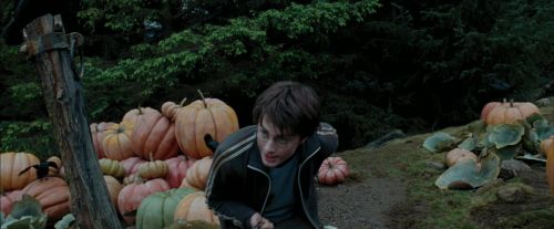 Click to view full size image
==============
PdA-Potterish_7233.jpg PdA-Potterish_7233.jpg