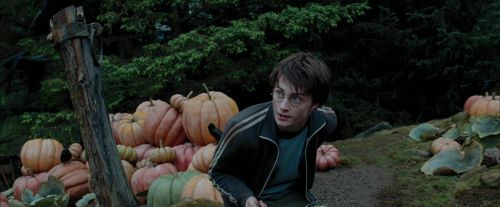 Click to view full size image
==============
PdA-Potterish_7234.jpg PdA-Potterish_7234.jpg