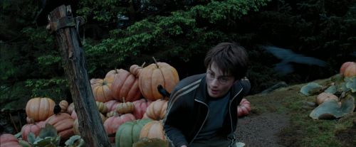 Click to view full size image
==============
PdA-Potterish_7239.jpg PdA-Potterish_7239.jpg