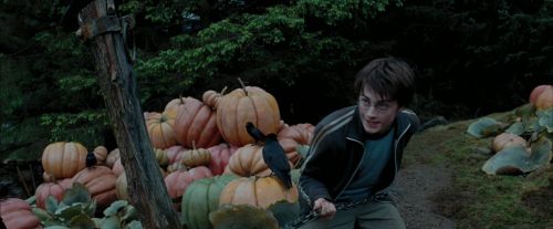 Click to view full size image
==============
PdA-Potterish_7240.jpg PdA-Potterish_7240.jpg