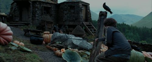 Click to view full size image
==============
PdA-Potterish_7241.jpg PdA-Potterish_7241.jpg