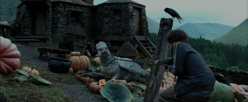 PdA-Potterish_7242.jpg