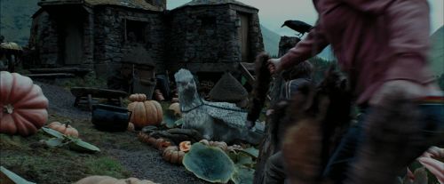 Click to view full size image
==============
PdA-Potterish_7243.jpg PdA-Potterish_7243.jpg