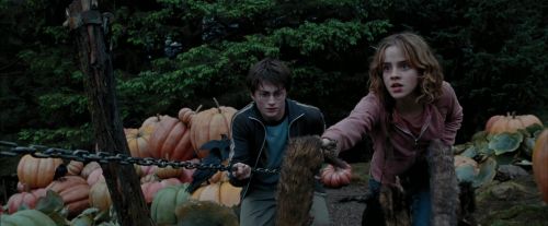 PdA-Potterish_7244.jpg