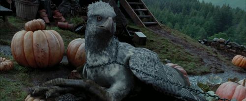 PdA-Potterish_7245.jpg