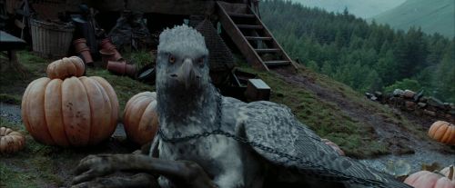 PdA-Potterish_7246.jpg