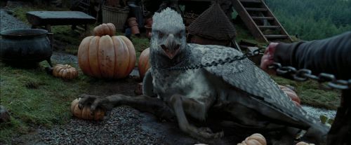PdA-Potterish_7248.jpg