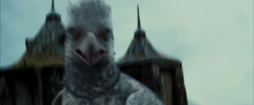 Click to view full size image
==============
PdA-Potterish_7249.jpg PdA-Potterish_7249.jpg