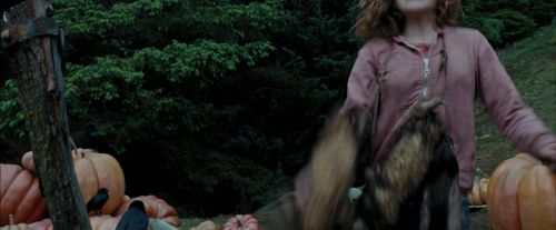 PdA-Potterish_7250.jpg