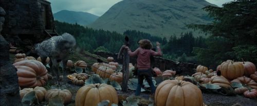 Click to view full size image
==============
PdA-Potterish_7251.jpg PdA-Potterish_7251.jpg