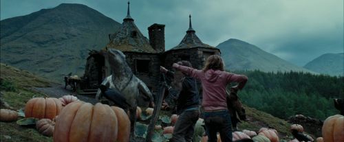 PdA-Potterish_7255.jpg