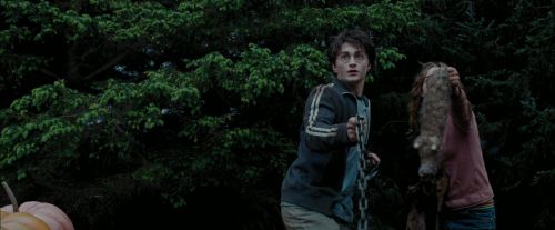 PdA-Potterish_7257.jpg
