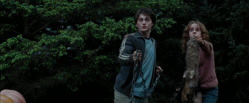 PdA-Potterish_7258.jpg