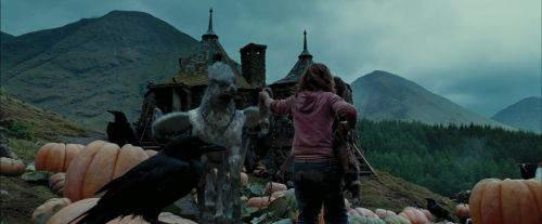 Click to view full size image
==============
PdA-Potterish_7259.jpg PdA-Potterish_7259.jpg