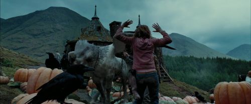 Click to view full size image
==============
PdA-Potterish_7261.jpg PdA-Potterish_7261.jpg