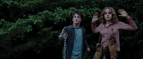 PdA-Potterish_7262.jpg