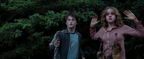 Click to view full size image
==============
PdA-Potterish_7263.jpg PdA-Potterish_7263.jpg