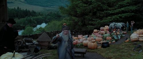 PdA-Potterish_7264.jpg