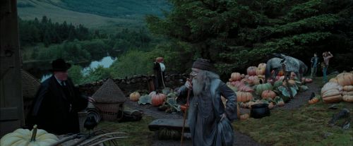 PdA-Potterish_7265.jpg