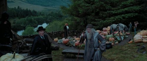 Click to view full size image
==============
PdA-Potterish_7266.jpg PdA-Potterish_7266.jpg