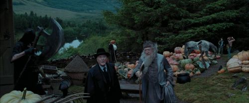 PdA-Potterish_7267.jpg