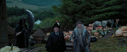 Click to view full size image
==============
PdA-Potterish_7268.jpg PdA-Potterish_7268.jpg