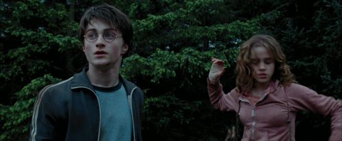 Click to view full size image
==============
PdA-Potterish_7270.jpg PdA-Potterish_7270.jpg