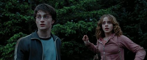 PdA-Potterish_7271.jpg