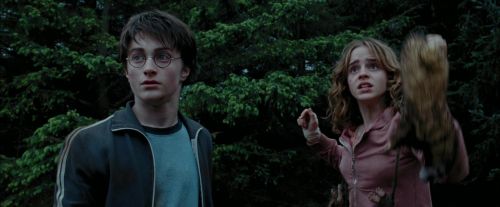 PdA-Potterish_7272.jpg