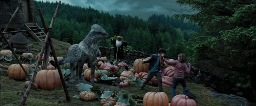 PdA-Potterish_7273.jpg